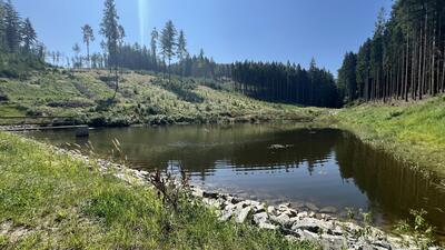 20250813 LH 25-08-13 11-14-46 7754